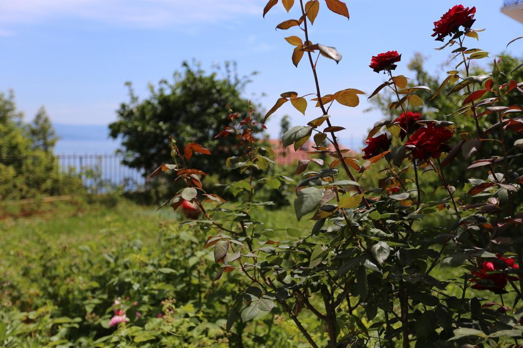 Villa Vera Icici Luaran gambar